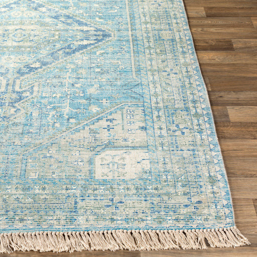 Zainab Rug II - ZAI2304 - Sky Blue